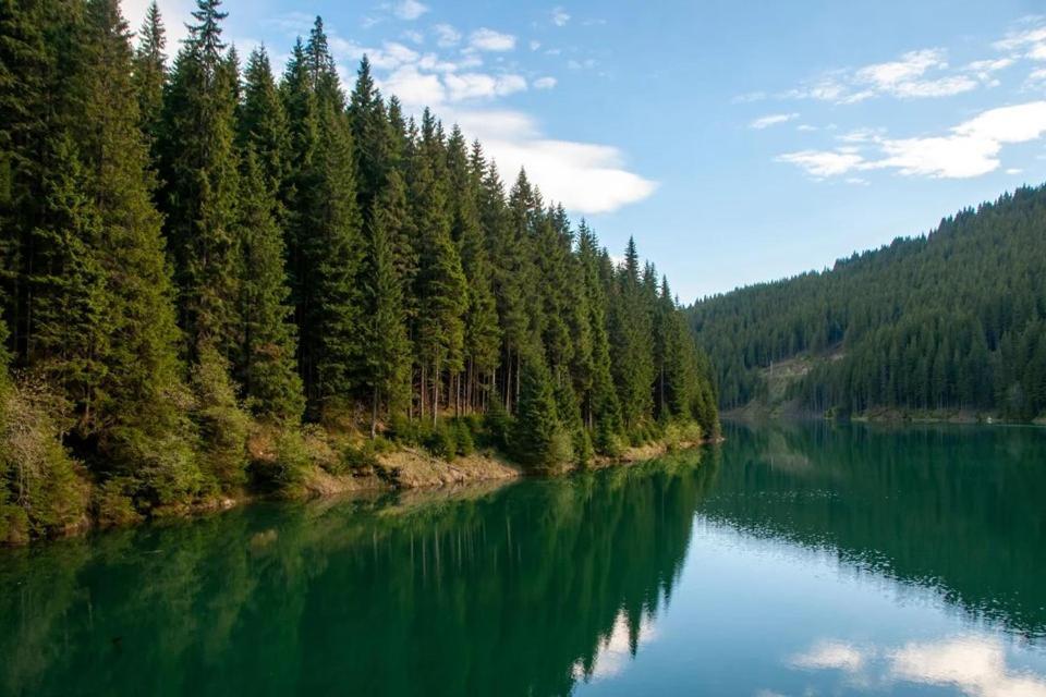 Camping Aviator, Numai Teren, Campare Pentru Rulote Autorulote Personale, Campingul Nu Are Rulote !!! Buşteni Екстериор снимка